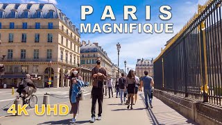 Paris Magnifique  Walking Rue de Rivoli and Rue de louvre 4K [upl. by Kania]