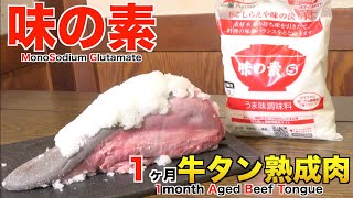 味の素で1ヶ月牛タン熟成肉作ってみた Insane MSG Dry Age Experiment [upl. by Nyvlem275]