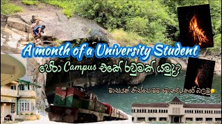 A Month of a University Student💁🏻‍♂️  A Tour around Peradeniya University🌳🌸 universitystudent [upl. by Roel]