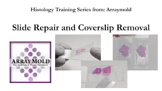 Slide Repair and Coverslip Removal [upl. by Atsirk]