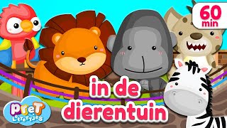 Pretlettertjes • Dierengeluiden in de Dierentuin • 60 min Special [upl. by Odnanref110]