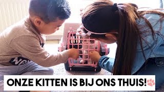 ONZE KITTEN SAMEN OPHALEN amp EERSTE KEER BIJ ONS THUIS VLOG175  SUNSEEREE FAMILIE VLOG [upl. by Ainav]