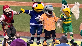 Clearwater Threshers mascot Phinley Birthday party Philadelphia Phillies Single A Team [upl. by Prent]