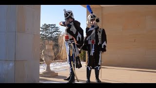 French 2nd Hussar Regiment 1805  Soldiers of History napoleonicwars austerlitz napoleon [upl. by Ahtibbat]