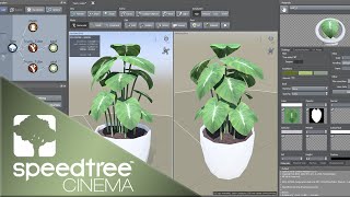 Potted Plant  Speedtree Cinema 9 Tutorial [upl. by Atter]