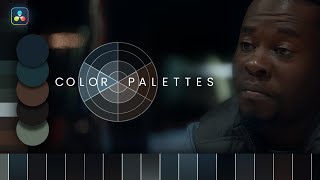 Color Palettes for DaVinci Resolve [upl. by Gregson]