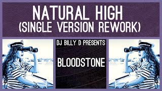 Bloodstone  Natural High Single Version Rework [upl. by Gaidano]