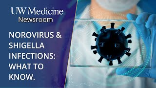 What to know about norovirus Shigella outbreaks [upl. by Ewer]