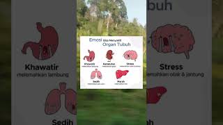 Emosi mempengaruhi organ  Jangan lupa support dengan like subscribe amp share guys emosi faktaunik [upl. by Chaudoin]