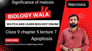 biology class 9 chapter 5 lecture 7  Significance of meiosis  Necrosis  Apoptosis [upl. by Edlyn]