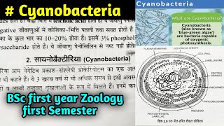 Cyanobacteria in hindi  BSc first year Zoology first Semester [upl. by Atinniuq]