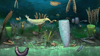 What Was Life Like During The Cambrian Period  Part 2 [upl. by Stralka]