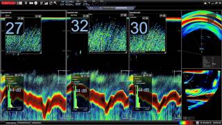 Simrad SN90 trawl highlights [upl. by Ermey]