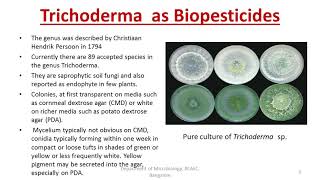 Fungal biopesticides Trichoderma Beauveria bassiana [upl. by Karlise]