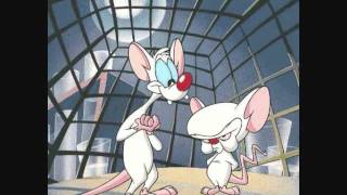 Pinky and the Brain theme song reversed [upl. by Alsi]