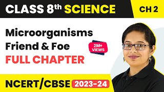 Introduction to Microorganisms  Microorganisms Class 8 Science Biology  BYJUS  Class 8 [upl. by Jillana]