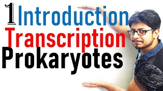 Transcription in prokaryotes introduction  Transcription lecture 1 [upl. by Ardnossac]