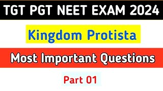 Kingdom Protista MCQ  Biological Classification MCQ  Class 11  NEET 2024 [upl. by Imeka]