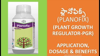 PLANOFIX PLANT GROWTH REGULATOR FLOWER DROP CONTROL FUTURE TECH AGRICULTURE CHANNEL TELUGU [upl. by Packston]