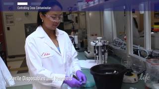 How to Control Contamination in PCR lab [upl. by Oiludbo]