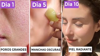 Por fin conseguí CERRAR POROS ABIERTOS y ELIMINAR MANCHAS para SIEMPRE Hielo Aloe Vera [upl. by Rhtaeh]