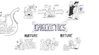 Epigenetics Nature vs nurture [upl. by Aholah89]