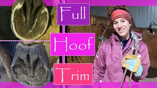 Full horse hoof trim  Barefoot hoof trim  How to trim horse hooves  hoof trimming  DIY farrier [upl. by Wack]