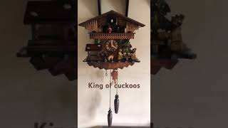 cuckoo clock Engstler biergarten [upl. by Anail]