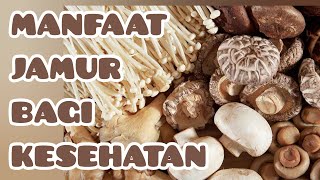 MANFAAT JAMUR BAGI KESEHATAN  HEALTH BENEFITS OF MUSHROOMS [upl. by Adnirem]