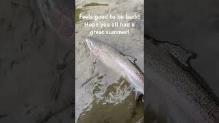 Early season Steelhead Here’s to a great year [upl. by Zeret]