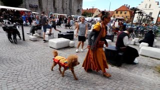 Let The VISBY Festival Begin SWEDEN [upl. by Ahsiemat445]