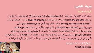 تحليل ألدولاز Aldolase Test [upl. by Meikah810]