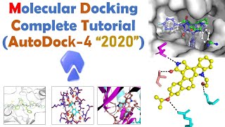 Molecular docking for Beginners  Autodock Full Tutorial  Bioinformatics [upl. by Aracaj]