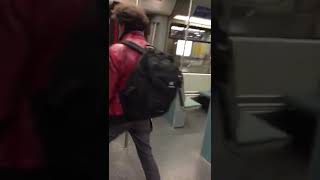 Thomas Krüger – „Schrei nach Liebe“ Die Ärzte in SBahn Berlin [upl. by Doralynn]