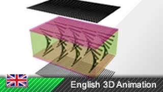 TFT  LCD Monitor  How it works 3D Animation [upl. by Geffner962]