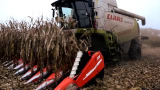 Maisdreschen mit Claas Lexion 570 II LU Lührmann [upl. by Naujit307]