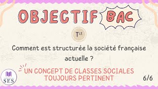 BAC Cours structure sociale  Lanalyse en termes de classes sociales est pertinente [upl. by Nomi]