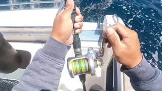 Trolling for yellow tail kingfish nz [upl. by Biancha]