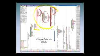 Market Profile 101  Learn the Basic Methods of Applying Market Profile [upl. by Calle]