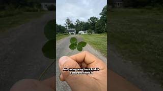 I found a FOUR LEAF CLOVER [upl. by Okemak]