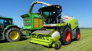 Gras hakselen met Claas jaguar 498 Mechielsen Oldehove BV [upl. by Vrablik]