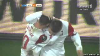 Ludovic Obraniak fantastic second goal for Poland Poland 31 Cote dIvoire [upl. by Nilrev]