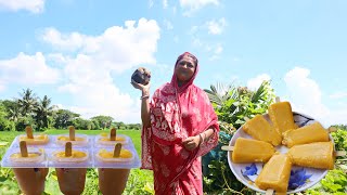 কোনো রকম কেমিক্যাল ছাড়াই বাড়িতে বানালাম তালের ice cream  palm icecream recipe [upl. by Modestine]