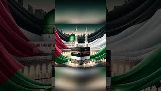 Mera Pyara Nabi SWA shortvideo [upl. by Anallese]