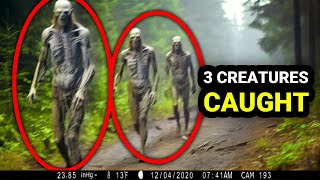 What This Trail Cam Captured Shocked All The Scientists [upl. by Albemarle]