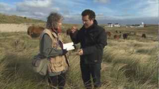 RMR Rick Visits Sable Island [upl. by Lerner]