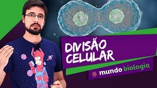 🔬 Citologia 47 Divisão Celular  Biologia  ENEM [upl. by Goldberg]