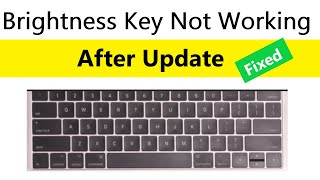 How to fix Screen Brightness Keys Not Working After Update  Hp laptop brightness keys not working [upl. by Cristina]