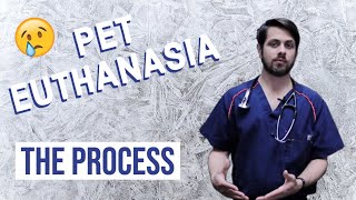 What to Expect When Putting Your Pet to Sleep  Euthanasia [upl. by Hnil]