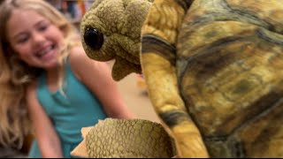 Folkmanis Standing Tortoise Hand Puppet Cute And Cuddly [upl. by Atnauqahs]